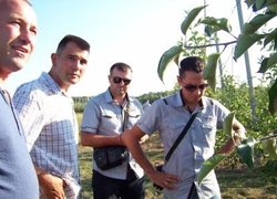 Ерік ван дер Хоф (крайній зліва) відмічає добрий стан листя